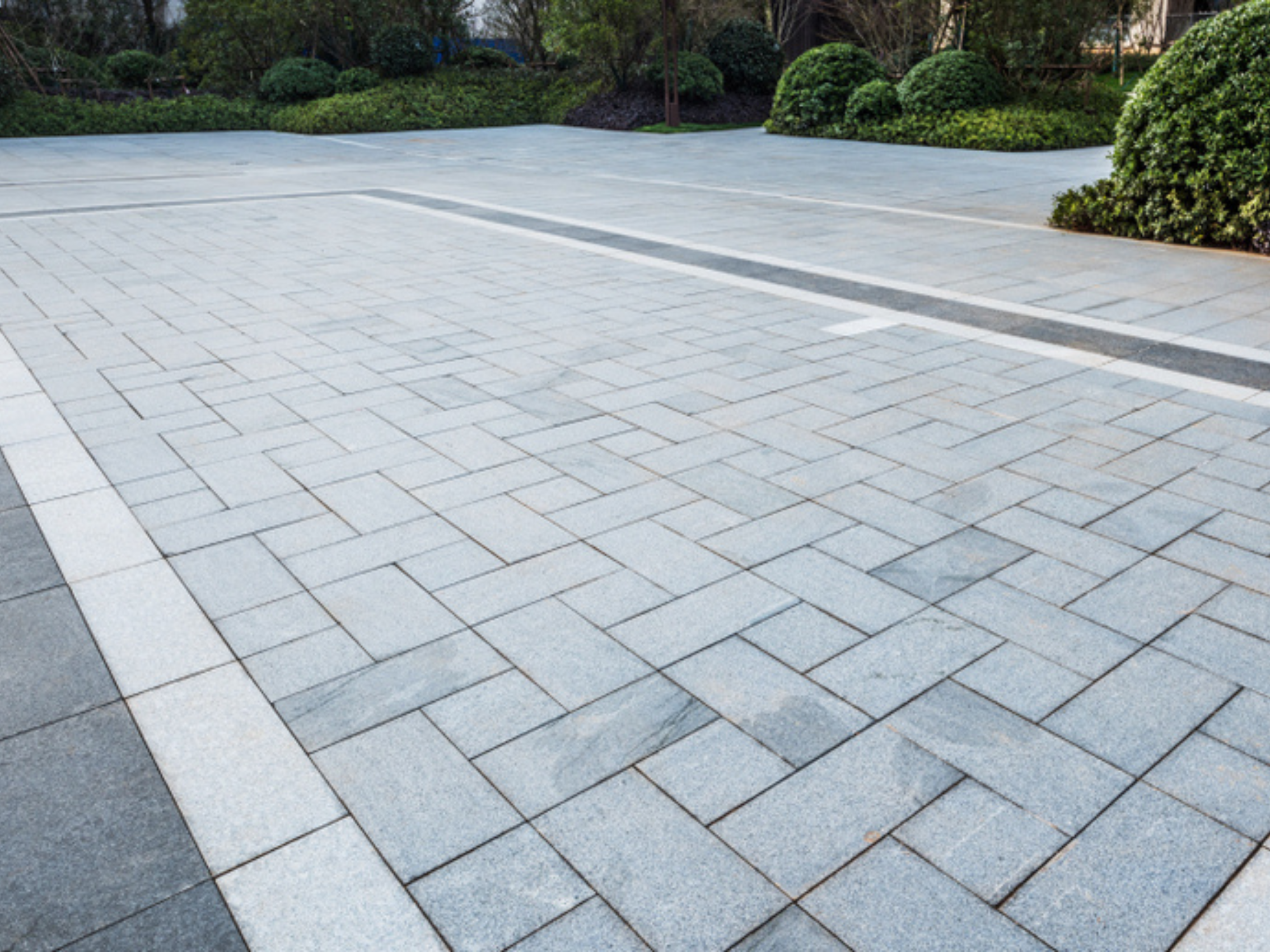 Untitled design (22)