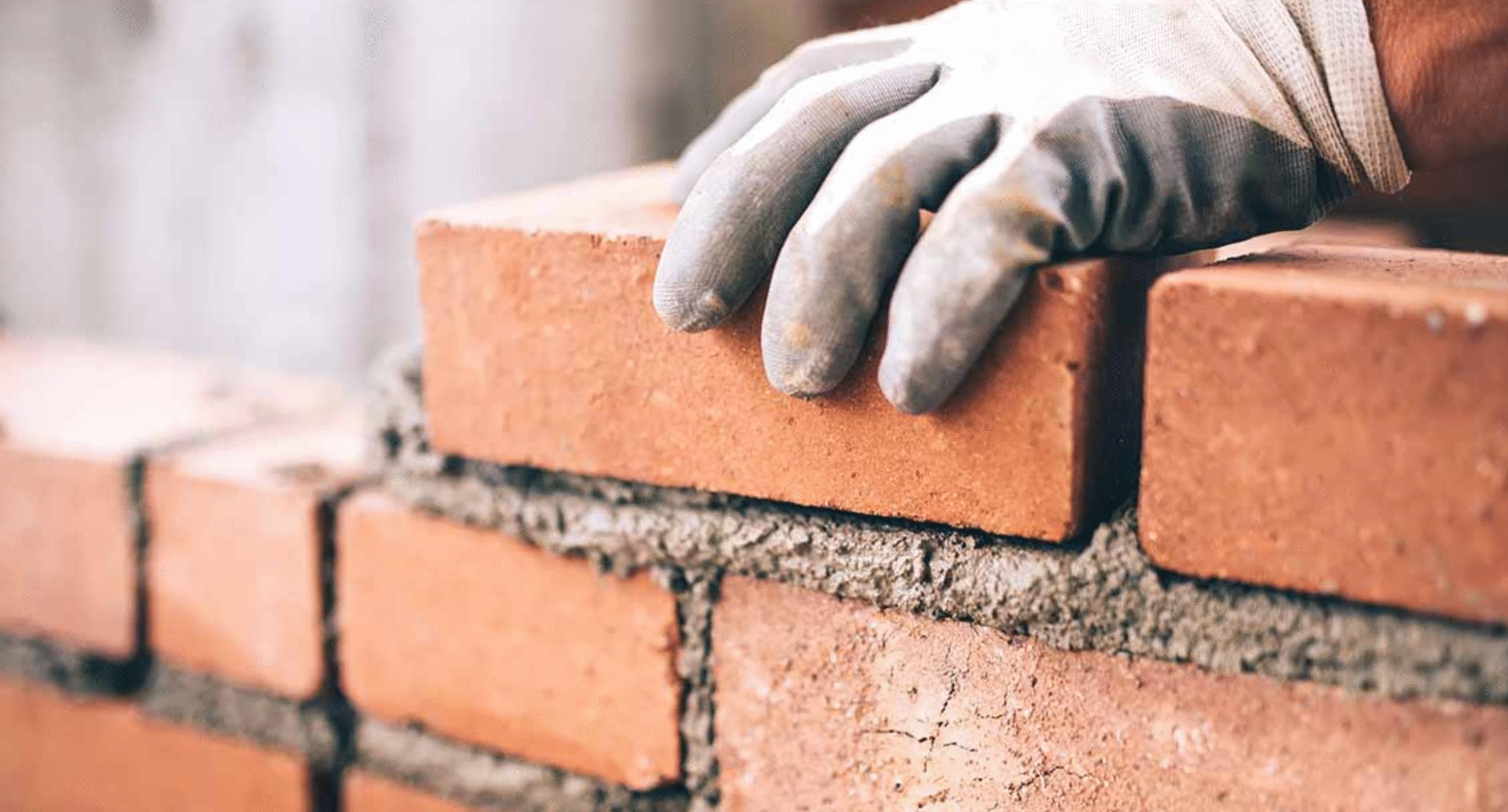 Untitled design (27)